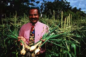 Chef Ming displays some Bermuda onions grown in his home garden.Copyright Warren Lieb.