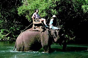 Sharon riding. Copyright: Warren Lieb.