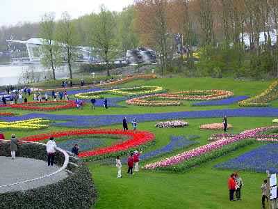Valley of Flowers.