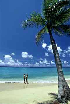 Morningstar Beach, St. Thomas, USVI. Copyright: Don Hebert.
